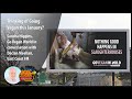 Sandra Higgins, Go Vegan World, in conversation with Declan Meehan on East Coast FM Radio