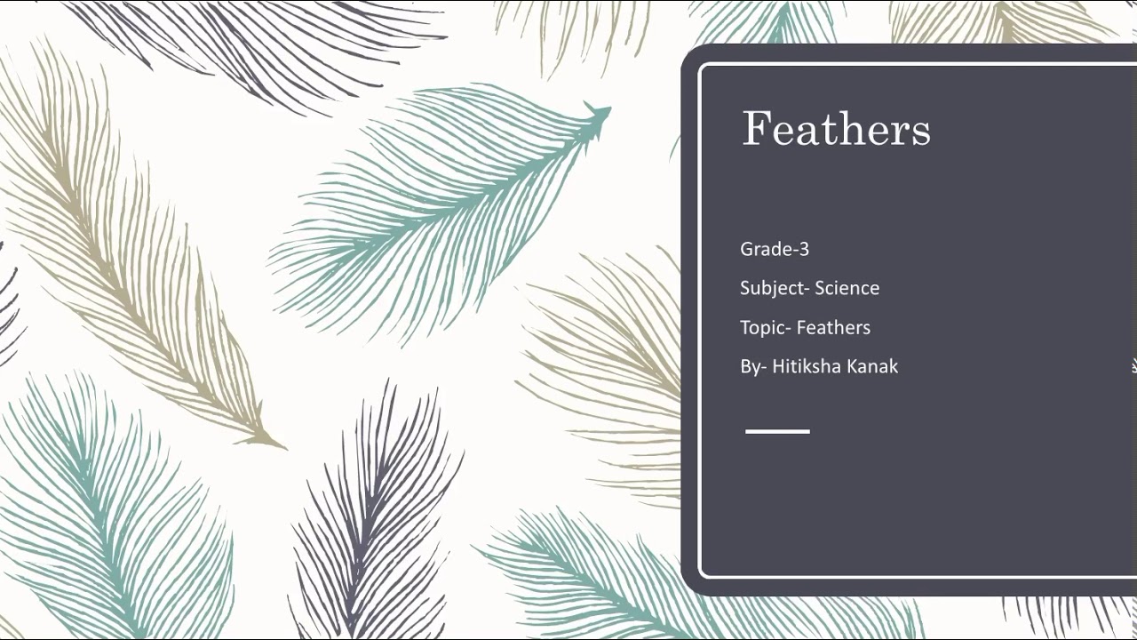 Feathers, grade 3 ch-4 understanding birds. - YouTube