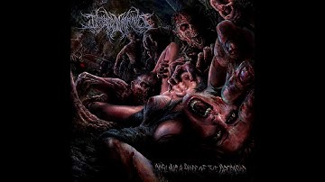 Infested Entrails - Post Mortem Indignities