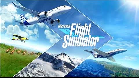 Microsoft Flight Simulator better settings for the twitchy rudder (CH Eclipse Yoke)