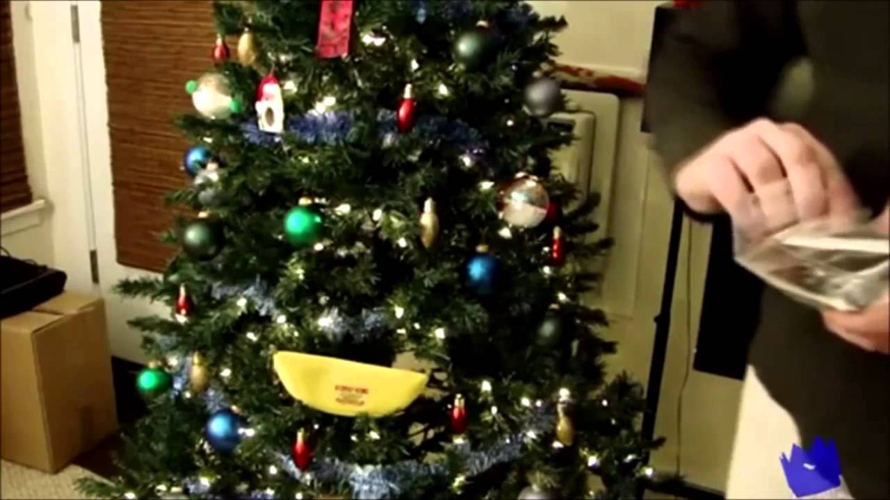 Darksydephil (DSP) Vs Darksydegeoff