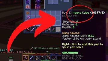 Hypixel Skyblock: How To Get a Magma Cube Pet
