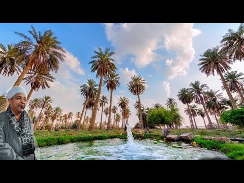 اغنيه نخل عالى مع غزال صعيد الريس ثروت البنجاوى