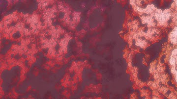 Sinusoidal Capillaries Fractal