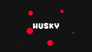TheHuskyGamer