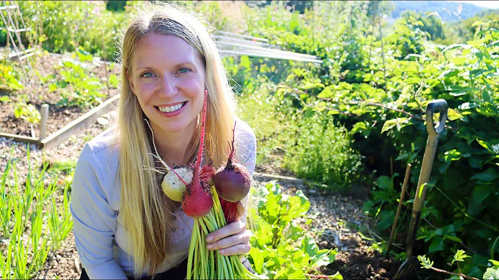 The Garden in August - DayDayNews