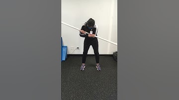 Bent Over Trunk Rotations