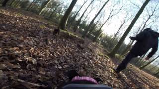 Gopro Fetch Ellie The Staffy