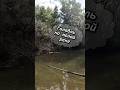 ГОЛАВЛЬ НА МАЛОЙ РЕКЕ #fishing #norstream #jackall #спиннинг #голавль #рыбалка