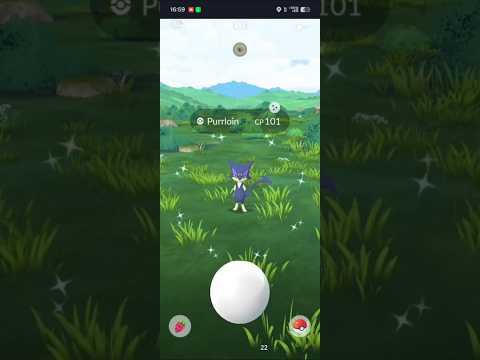 Comprendre les Promotions Crypto chez Shiny Wilds