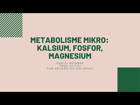 Video: Metabolisme Mikrob Komponen Pemakanan Kepada Metabolit Bioaktif: Peluang Untuk Intervensi Terapeutik Yang Baru