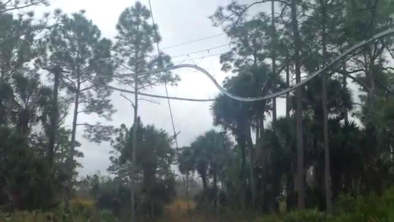 Snake Roller Coaster: Forever Florida