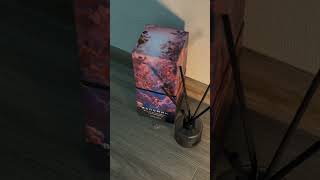 Арт На Лучший Диффузор От Вспомни. Ww159885 Копировать С Ww