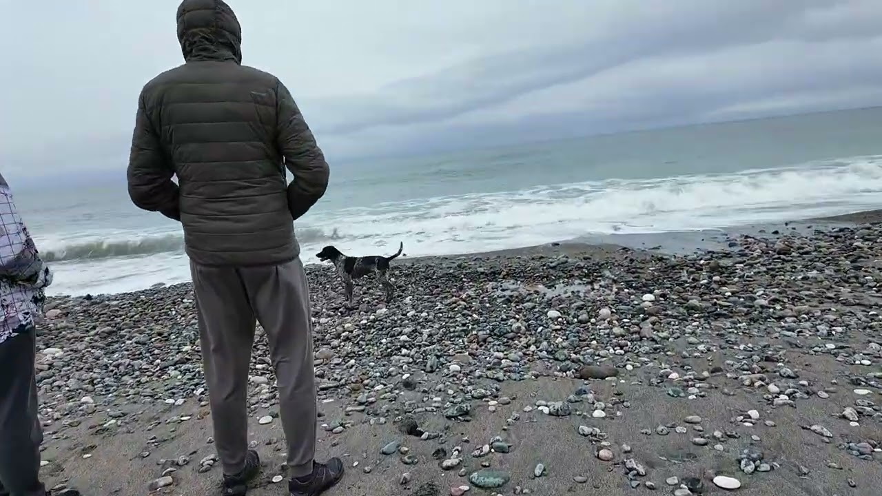 #Абхазия2026 #Черкез777