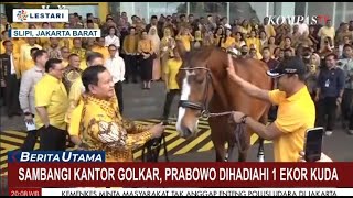 Ekspresi Prabowo Dapat Kejutan Ditunjukkan Kuda Cokelat Oleh Golkar