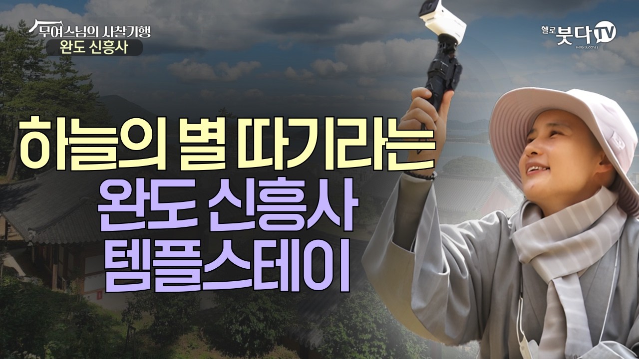 방문 열면 바다가 펼쳐지는 뷰맛집 사찰의 정체?! | 힐링 여행 사찰 전라남도 완도 뷰맛집 | 무여스님의 사찰기행 4회 '전남 완도 신흥사'