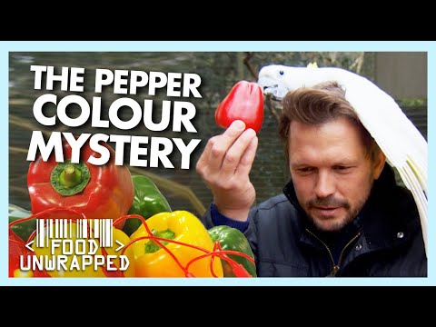 Video: Why Is Bell Pepper So Called