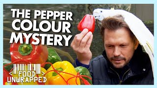 Why are Bell Peppers Different Colours? | Food Unwrapped