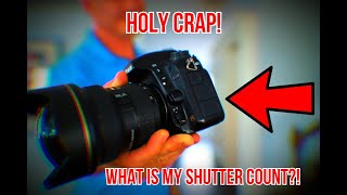 Nikon D750: Answers to Your Real Questions - Photodoto