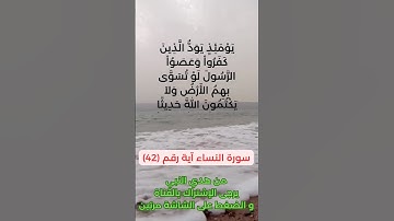 سورة النساء آية رقم (42) #سعد_الغامدي