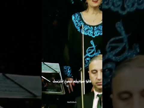لا خبر لا جفية لا حامض حلو كالو صوانيكم شموع انترست