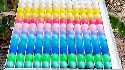 Sort It Right Ball Color Puzzle Master Ball Sort Pro Solve the Color Puzzle