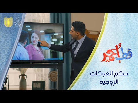 حكم العركات الزوجية مسلسل قط أحمر