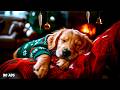 12 Hours Gentle Puppy Sleep Music 🐾💤 Deep Calm & Cozy Sounds 💖 Stress Free Dogs 💤 No Ads