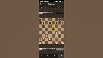 blunder by 1900s #chess #mate