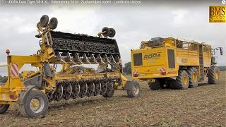 Rübenroder Ropa Euro Tiger V8-4 Xl - Rübenernte - Rübenkampagne Nordzucker Uelzen Beet Harvester