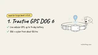 The 4 Best GPS Trackers for Pets in 2026 (Dogs and Cats)
