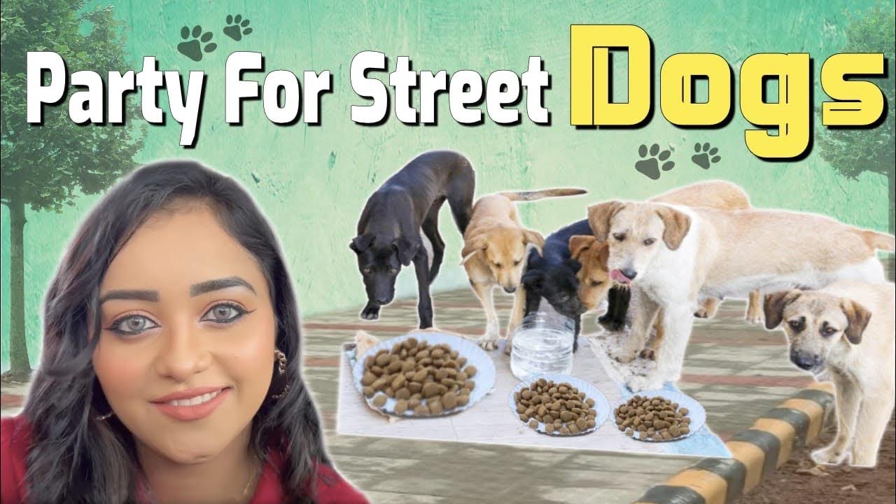 party-for-street-dogs-dhanushree-doing-what-i-can-do-for-them