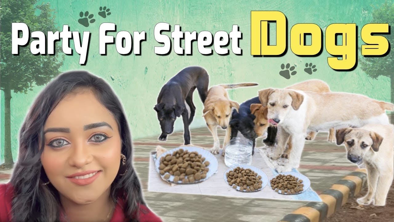 Party For Street Dogs Dhanushree Doing What I Can Do For Them Party For Street Dogs Dhanushree Doing What I Can Do For Them