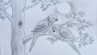 How to draw parrot couple on tree step by step (very easy)