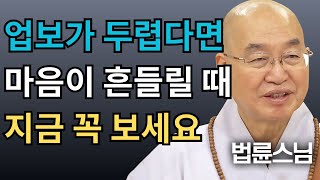 ⭐ 업보의 두려움과 부정적 감정… 내 인생 망치지 않는 법│법륜스님 명법문🙏