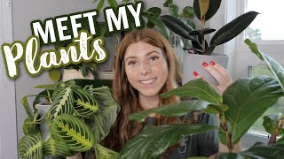 Houseplant Tour!