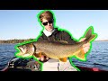 Completing a Huge BUCKET LIST Catch!!- Northwoods Winter Fishing