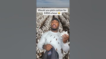 Would you do it?🤣 #tiktok #funny #comedy #shorts #fyp #foryou #viralshorts #trend #fypシ