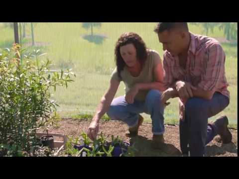 Pigface, a Native Australian Ingredient - Peter Kuruvita's Coastal Kitchen hqdefault