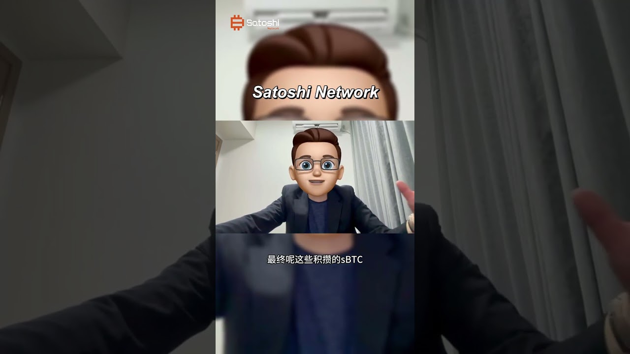 什麼是 Satoshi Network ?