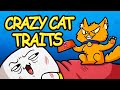 My Cat Is Weird and Wonderful! (Animation)