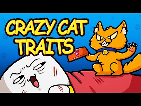 My Cat Is Weird and Wonderful! (Animation)
