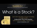 What is a Stock: Beginners Guide to Investing