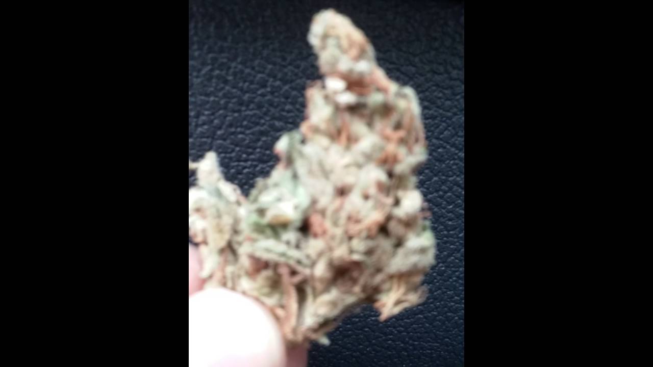 Snow white .........Weed strain