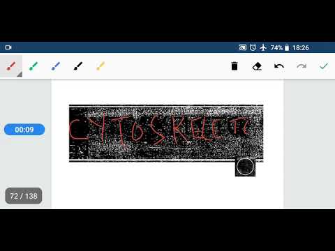 CYTOSKELETON - YouTube