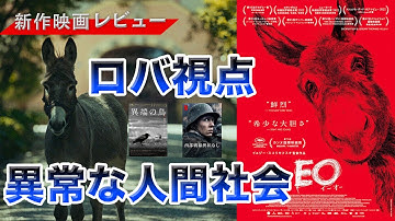 理不尽な異常世界を放浪｜映画「EO イーオー」感想考察レビュー