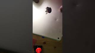 New Replacebase Touch Screen Failing To Work When Installed