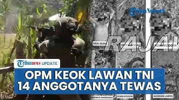 Penampakan 14 Anggota OPM yang Tewas Ditembak TNI di Intan Jaya Papua Tengah, 2 Masih Diidentifikasi