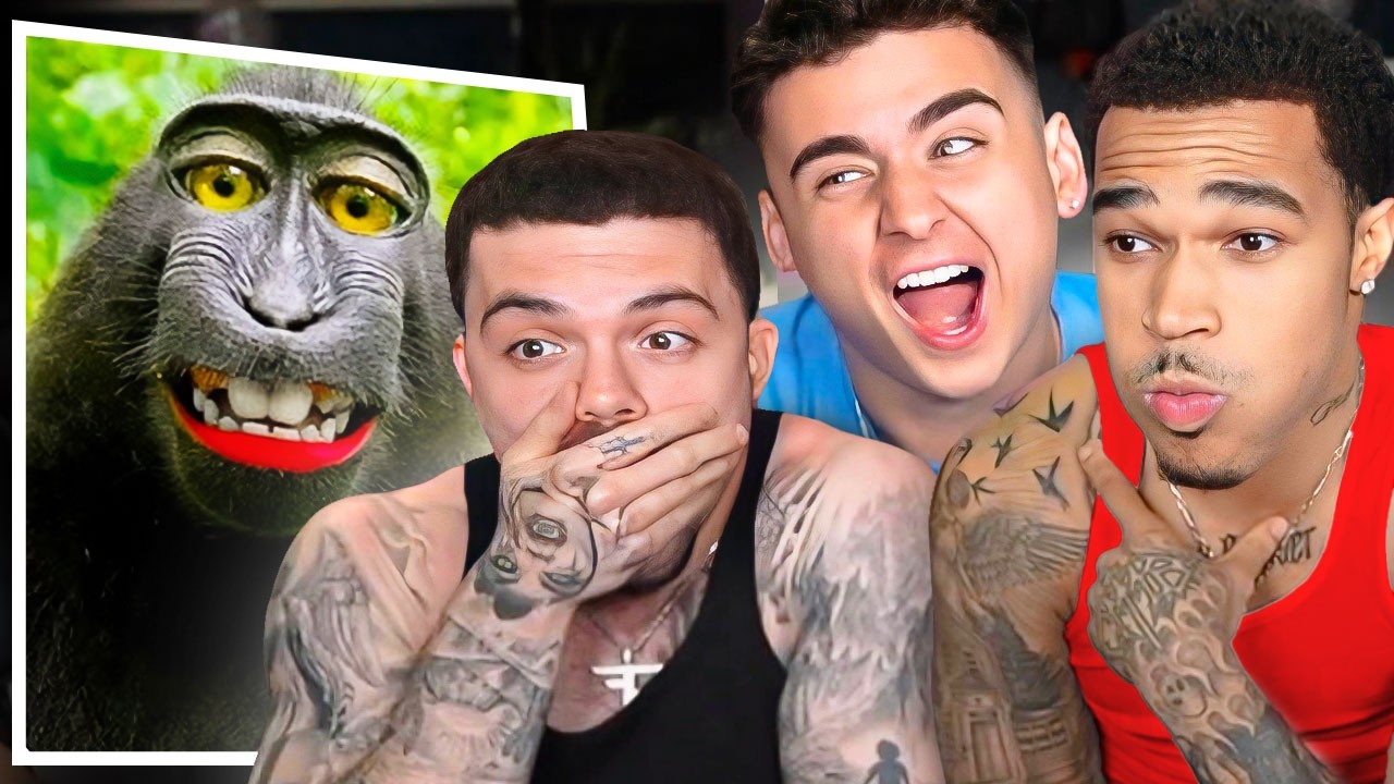 You Laugh, You LOSE vs My Viewers..