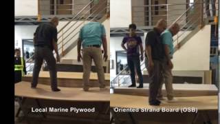 Plywood Vs  OSB